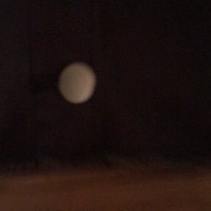 Meet your Posher, Chloe